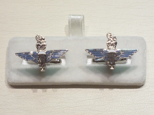 Parachute Regiment enamelled cufflinks - Click Image to Close